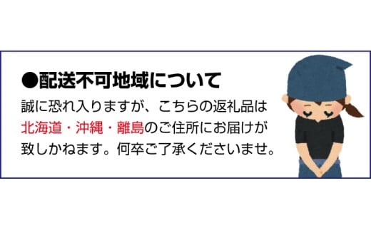 ӂ闢ZbgFyjfk001Aza̎RV{s17000ECY̑ ECY