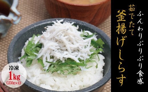 䥂łĊg炷@1kg(250g×4pbN)yⓀzYEF 炷 VX g  Ⓚymar103za̎RV{s16000ECY̑ ECY