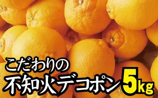 \光センサー選別/ 【農家直送】こだわりのデコポン不知火 約5kg  有機質肥料100% ※2026年2月中旬より順次発送予定(お届け日指定不可)【nuk111C】和歌山県新宮市15000果物・フルーツみか