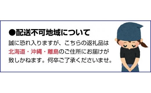 紀州アワビのオリーブオイル漬け 【旨辛ガーリックプレーン味】 100g【riz300】和歌山県新宮市13000魚介・海産物貝類