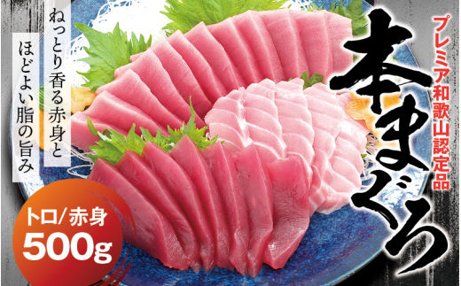 本マグロ(養殖)トロ&赤身セット 500g 【1か月以内に発送】 高級 クロマグロ  中トロ 中とろ まぐろ マグロ 鮪 赤身 柵 じゃばらまぐろ 本マグロ 本鮪【nks110D】和歌山県新宮市24000魚介・海