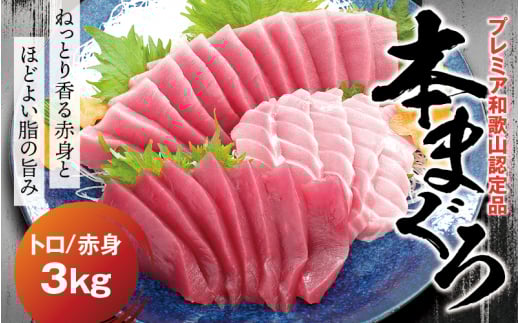 本マグロ(養殖)トロ&赤身セット 3kg 【1か月以内に発送】【配達指定日不可】高級 クロマグロ  中トロ 中とろ まぐろ マグロ 鮪 刺身 赤身 柵 じゃばらまぐろ 本マグロ 本鮪【nks112B】和歌