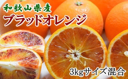 【希少・高級柑橘】国産濃厚ブラッドオレンジ「タロッコ種」3kg ※2026年4月上旬〜2026年4月下旬頃に順次発送【tec503A】和歌山県新宮市14000果物・フルーツみかん・柑橘類