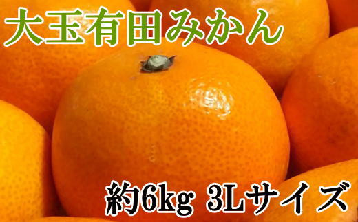 [Gi]a̎RLc݂@6kg(3LTCY) 2025N11{`2026N1{ytec836za̎RV{s10000ʕEt[c݂Ek