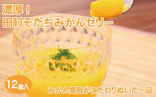濃厚!田村そだちみかんゼリー【uot100】和歌山県新宮市17000菓子・スイーツプリン・ゼリー