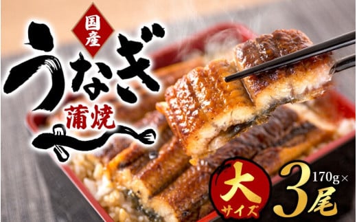 【大型サイズ】ふっくら柔らか 国産うなぎ蒲焼き 3尾/うなぎ ウナギ 鰻 うなぎ蒲焼 国産【uot303A-3】和歌山県新宮市27000魚介・海産物うなぎ