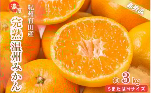 【先行予約受付 有田ミカン】紀州有田産 濃厚完熟温州みかん 3kg(MサイズまたはSサイズ)※2025年11月下旬頃〜2026年1月下旬頃に順次発送予定(お届け日指定不可)【uot713】和歌山県新