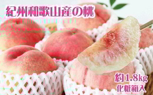 IBa̎RY̓ 1.8kg ϔ 2026N6{`2026N8{i͂wsj/ s\    t[c ʕ  lC { a̎Ryuot720-2za̎RV{