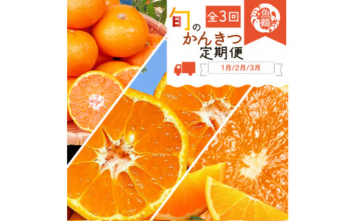【3か月定期便】人気のみかんを集めた!旬の柑橘定期便  田村みかん・ポンカン・清見オレンジ【tkb111】和歌山県新宮市48000果物・フルーツみかん・柑橘類