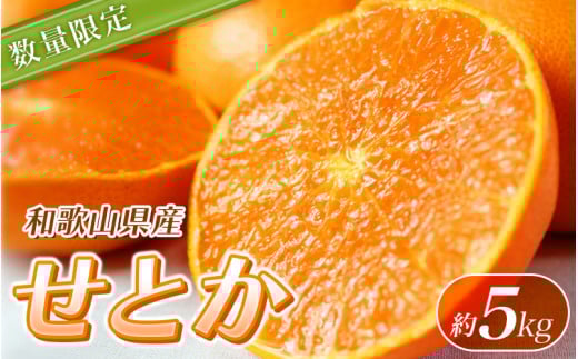 【ご家庭用訳あり】紀州和歌山産 せとか 約5kg【先行予約】※2026年2月上旬頃〜2026年3月中旬頃発送予定(お届け日指定不可) せとか みかん ミカン 柑橘 フルーツ 果物 くだもの【uot748A】和
