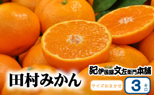 c݂ IMtgi 3kg TCY܂ ԏG/IBa̎RLcS󒬓cnY 2025N11{`2026N1{菇(͂ws)@Iɍq{܁ysgtb308Bza
