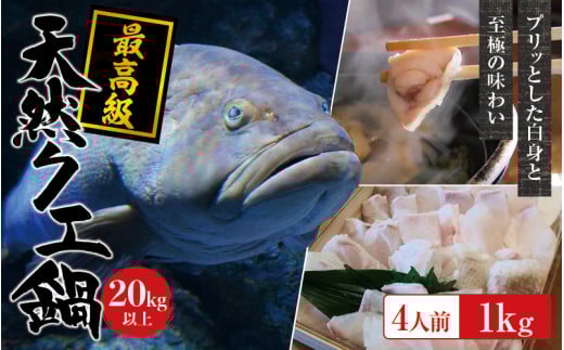 yⓀzVR ōNG 20kg ȏ  NGZbg 4lO(250g×4) y2025N11{2026N2{܂łɏv܂Bz /  CN     NG  VR Ⓚ CYy