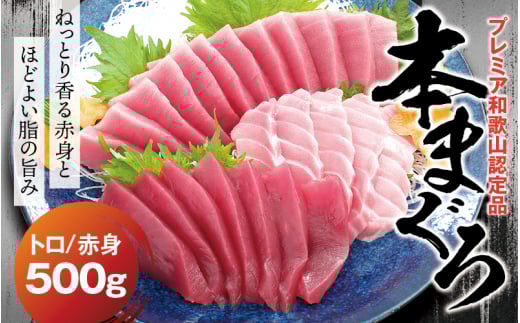 本マグロ(養殖)トロ&赤身セット 500g 【11月発送】高級 クロマグロ  中トロ 中とろ 大トロ 大とろ まぐろ マグロ 鮪 赤身 柵 じゃばらまぐろ 本マグロ 本鮪 【nks110D-11】和歌山県新宮市24000