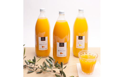 YELc̃W[Xl1000ml×3{E3yikd104Aza̎RV{s13000Eʏ`E؈