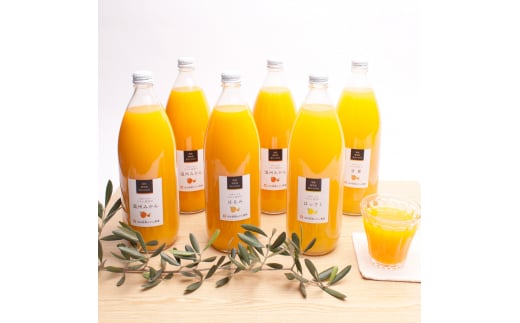 YELc̃W[Xl1000ml×6{E4yikd106Aza̎RV{s21000Eʏ`E؈