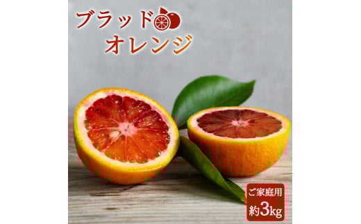 希少な柑橘!紀州有田産ブラッドオレンジ約3kg 【ご家庭用】※2026年3月上旬頃〜3月中旬頃に順次発送 (お届け日指定不可)  / みかん オレンジ ブラッドオレンジ 柑橘【uot771】和歌山県新宮市170