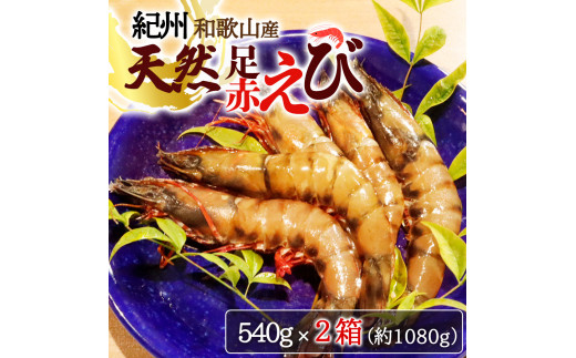 IBa̎RYVRԂ540g×2i270g×4pbNjϔ 2025N11`2026N1{\i͂wsj^CV Gr  N}Gr  VR yuot773Aza̎R