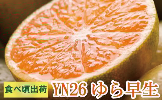 ys\zƒpLc݂ TCY(2S`2L) 7.5kg+250g  10蔭(ɑ)y킯E󂠂zkCEEzs / ݂ ~J ʕ  t[c k a̎R