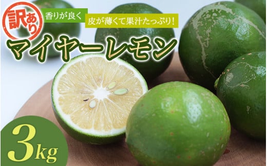 はぎファームの訳ありマイヤーレモン 3kg 【2025年10月〜2026年1月下旬の期間で順次発送】 / レモン 国産 マイヤーレモン 数量限定  訳あり【hgf003A】和歌山県新宮市9000果物・フルーツみかん
