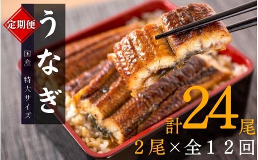 【全12回定期便】大型サイズ ふっくら柔らか 国産うなぎ蒲焼き 2尾×12回 計24尾 約4080g /  うなぎ ウナギ 鰻 国産 蒲焼 蒲焼き たれ 人気 定期便 ふるさと納税【tkb311】和歌山県新宮市276000魚介