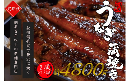yS12ցzɏIYȂ 2×12 v24 4800g n100Nȏ㑱V IBYłĂグX̖ i^ERtj/ Ȃ EiM V  Y ӂ邳