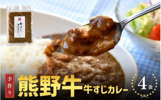 熊野牛の牛すじを使ったこだわりの手作りカレー 200g×4袋/カレー 肉 牛 牛すじ 熊野牛 ブランド 和牛 高級和牛 冷凍 通年 手作り うまい 逸品 おかず 牛すじカレー【okd005】和歌山県新宮市1000
