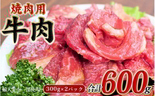 牛タレ仕込味付焼肉 300g×2パック 合計600g【冷凍】 / 肉 牛肉 牛 小分け 味 焼き肉 焼肉 【tnk304】和歌山県新宮市9000肉牛肉