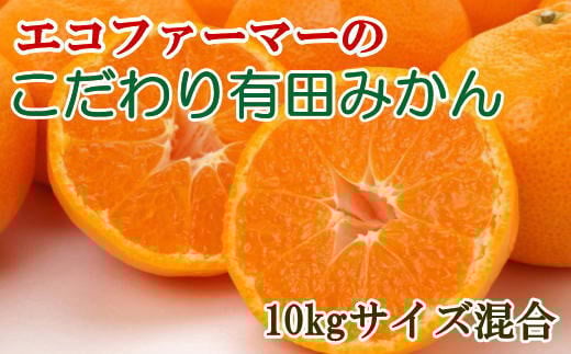 エコファーマーのこだわり有田みかん約10kg(サイズ混合)  ※2025年11月中旬〜2026年1月中旬頃順次発送(お届け日指定不可)【tec950B】和歌山県新宮市18000果物・フルーツみかん・柑橘類