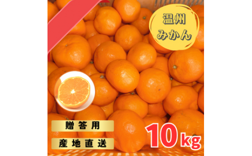 【先行予約】宮川早生みかん 贈答用 秀品 10kg(2S~2L)【2025年11月下旬から12月中旬までに順次発送】 / みかん 蜜柑 柑橘 果物 フルーツ 早生 秀品 贈答【tmf007】和歌山県新宮市25000果物・フル