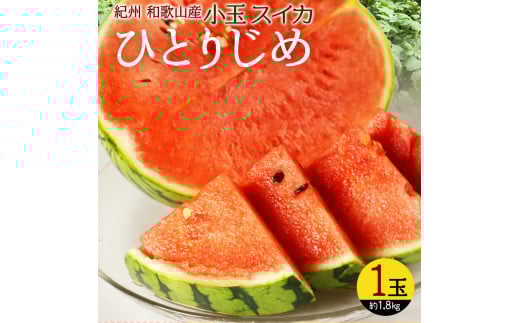 IBa̎RYʃXCJuЂƂ肶߁vPʁy\z2026N6{`7{ɏ\(͂ws) XCJ  ʕ yuot778za̎RV{s10000ʕEt[c
