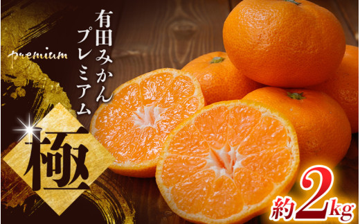 【先行予約】 \光センサー選別/極 有田みかんプレミアム 約2kg【光センサー 高糖度選別品】2S〜Lサイズ 有機質肥料100% ※2025年11月下旬頃〜2026年1月上旬頃に順次発送予定 ※北海道・沖縄