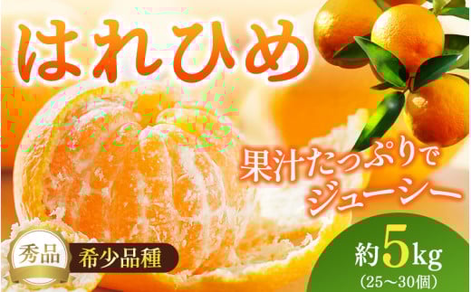 【先行予約】希少種みかん はれひめ 約5kg(25個〜30個) 秀品 2025年12月中旬〜2026年2月初旬頃に順次発送予定(お届け日指定不可)/ 和歌山 みかん はれひめ フルーツ 柑橘 蜜柑 果物 くだもの【