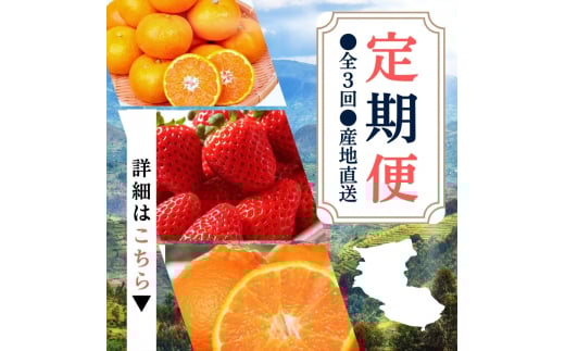 【定期便】●全3回● 産地直送 定期便【温州みかん・まりひめ・紀州デコ】 / フルーツ 果物 みかん いちご  旬 定期便  【tkb352】和歌山県新宮市45000果物・フルーツいちご