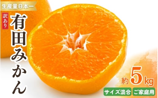 IBLc݂ 󂠂 5kg LY ƒp TCY@2025N11{`2026N1{菇\@kCEEzsysml130Aza̎RV{s10000ʕEt[c