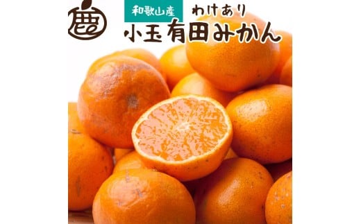【先行予約】家庭用 小さな有田みかん 小さな(S以下) 2.5kg+250g  ※10月より発送【わけあり・訳あり】【光センサー選果】※北海道・沖縄・離島への配送不可 / みかん 果物 フルーツ オレンジ