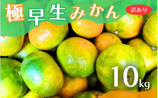 【2025年秋頃発送予約分】【訳あり】こだわりの極早生みかん 約10kg ※2025年10月上旬より順次発送予定(お届け日指定不可) 有機質肥料100% サイズ混合  有田産【nuk167A】和歌山県新宮市14000果