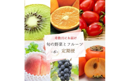yS6ցzɂ͂{̖؂ƃt[cցILECEIWEACRg}gEEsI[lExL`ytkb357za̎RV{s95000ʕEt[cE