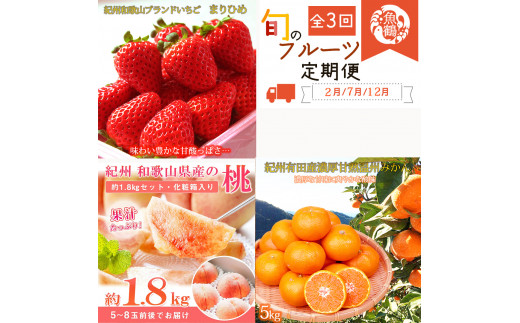 【全3回】紀州和歌山産旬のフルーツ定期便 (いちご・桃・有田みかん)  【tkb375】和歌山県新宮市52000果物・フルーツいちご
