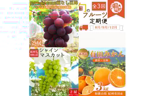 【全3回】紀州和歌山産旬のフルーツセット(巨峰・シャイン・みかん) / 果物定期便 フルーツ定期便 みかん オレンジ 柑橘 くだもの 果物 シャイン マスカット ぶどう 巨峰 【tkb398】和歌山県
