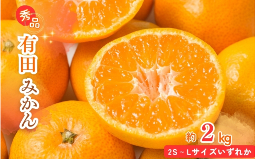 【先行予約】秀品 有田みかん 2kg 2S〜Lサイズのいずれか ※2025年11月下旬頃〜2026年1月下旬頃に順次発送予定 / みかん ミカン 蜜柑 温州みかん 柑橘 フルーツ 果物 くだもの 和歌山【uot835A】和