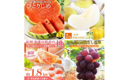 【全4回】紀州和歌山産旬のフルーツ定期便 (スイカ・桃・巨峰・梨) / すいか スイカ もも 桃 白桃 巨峰 葡萄 ぶどう なし 梨 ナシ 洋ナシ 和梨 果物 くだもの フルーツ フルーツ定期便 和歌山