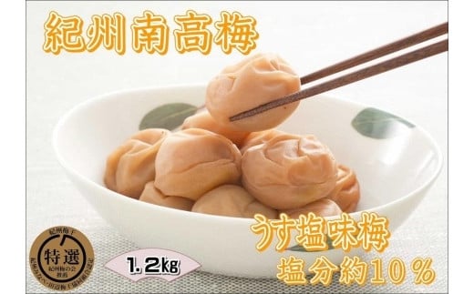 紀州南高梅 うす塩 yplu011A和歌山県みなべ町12000鍋セット・総菜・加工食品漬物・梅干・キムチ