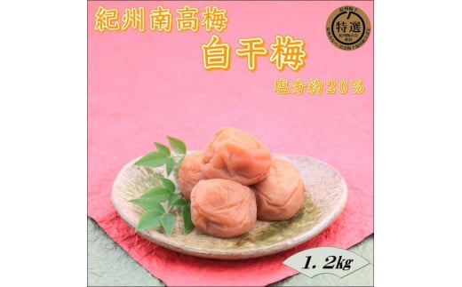 紀州南高梅 白干梅 yplu014A和歌山県みなべ町12000鍋セット・総菜・加工食品漬物・梅干・キムチ