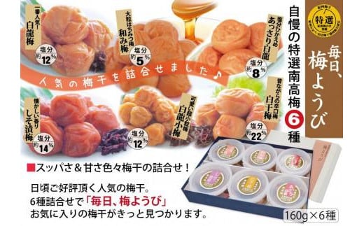 自家梅園産 完熟南高梅詰合せ「毎日梅ようび」 yokosho007A和歌山県みなべ町15000鍋セット・総菜・加工食品漬物・梅干・キムチ