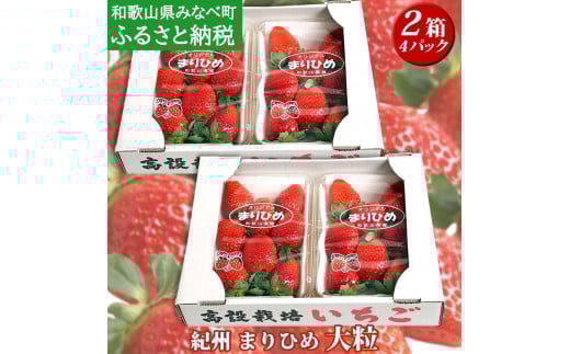 ms\ni܂Ђ߁j嗱TCY@4pbNi2j tagfam002Aa̎R݂Ȃג15000ʕEt[c