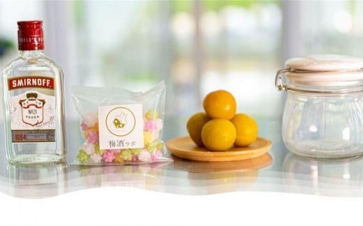 梅酒作成ミニキット(ウォッカベース)umslabo002A和歌山県みなべ町18000酒・アルコールその他 酒・アルコール