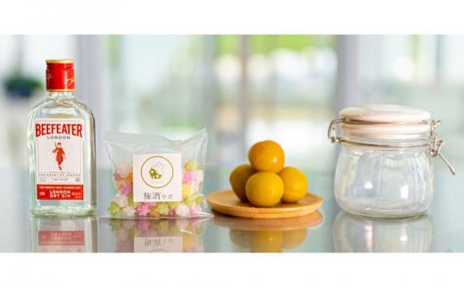 梅酒作成ミニキット(ジンベース)umslabo004A和歌山県みなべ町18000酒・アルコールその他 酒・アルコール