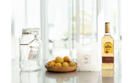 梅酒作成スタンダードキット(テキーラベース)umslabo010A和歌山県みなべ町36000酒・アルコールその他 酒・アルコール