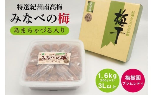 【特選】みなべの梅(あまちゃづる) 1.6kg 3L以上 (800g×2個) baijuen013B和歌山県みなべ町24000鍋セット・総菜・加工食品漬物・梅干・キムチ