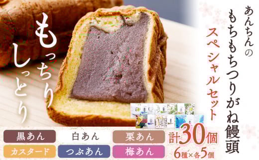 あんちんのもちもちつりがね饅頭 スペシャルセット 全6種×5個 計30個 有限会社あんちん 《30日以内に出荷予定(土日祝除く)》 和歌山県 日高川町 まんじゅう 饅頭 和菓子 スイーツ和歌山県日